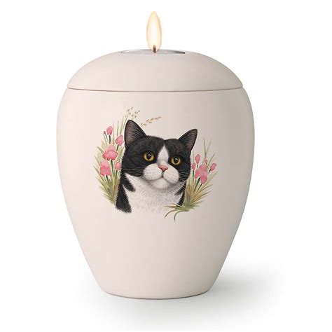 Urn kat .